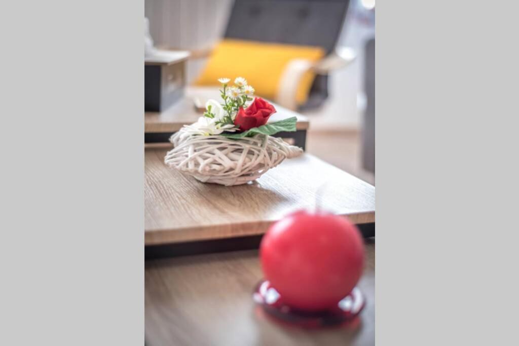 "Le Cocon" 4 Pers - Confortable - So Cozy 蒙托邦 外观 照片